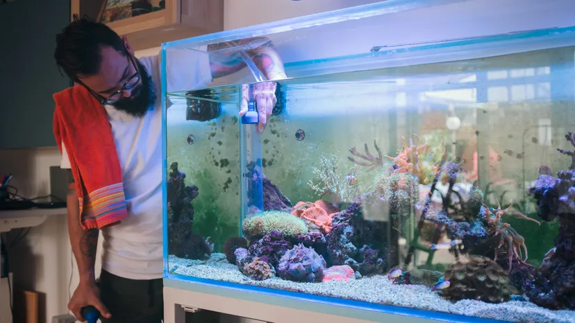 Moving a Aquarium | Affordable Relocation Services