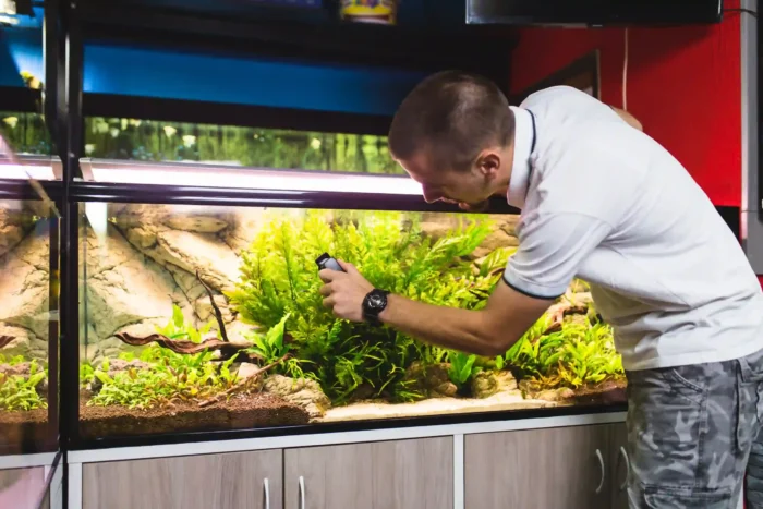 How to Move a Fish Tank Without Harming Fish