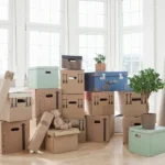 What to Bring First When Moving to a New House Guide