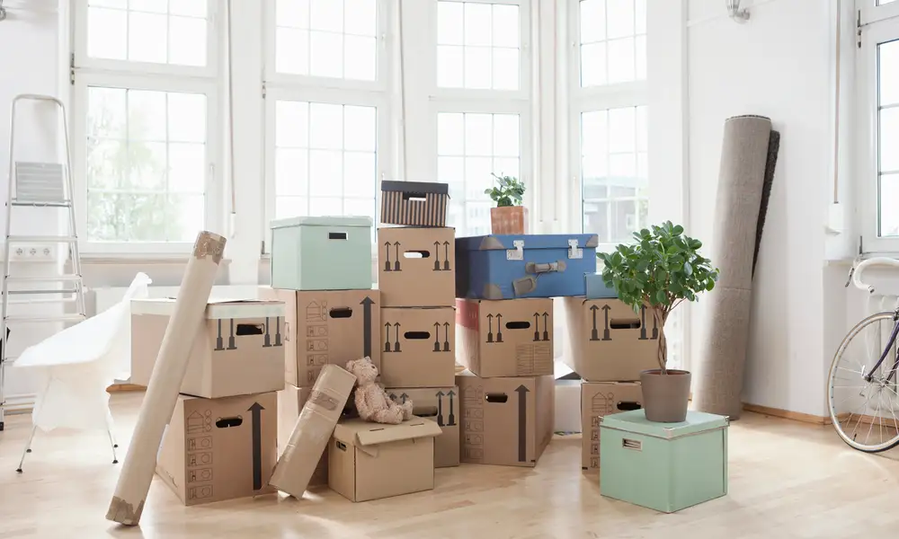 What to Bring First When Moving to a New House Guide