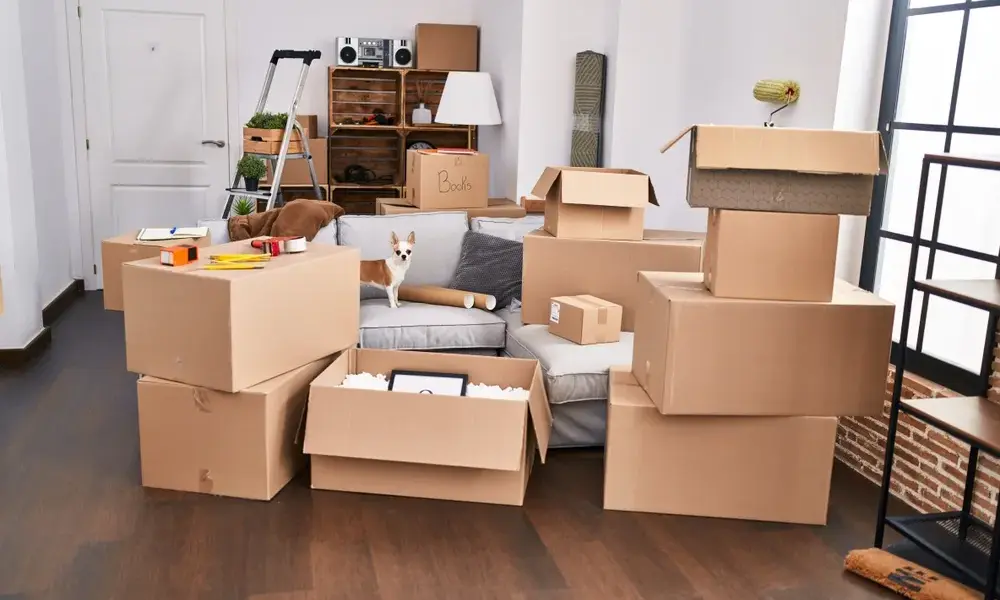 How Many Moving Boxes Do I Need for My Home?