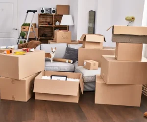 How Many Moving Boxes Do You Need Exactly?
