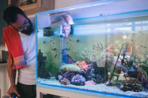 Moving a Aquarium | Affordable Relocation Services