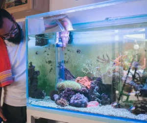 Moving a Aquarium | Affordable Relocation Services