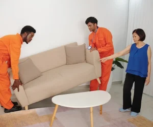 Couch Moving Service for Professional and Safe Transport