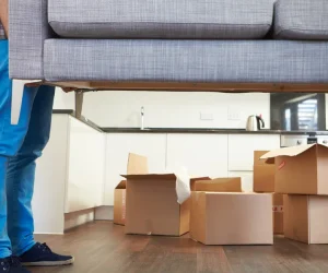 How Much Do Movers Cost for a 1 Bedroom Apartment in LA?