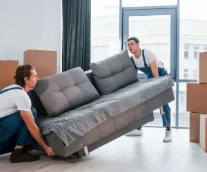 Professional Packers and Movers | Get Your Free Quote Now!