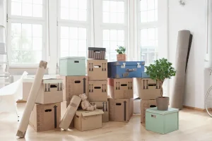 What to Bring First When Moving to a New House Guide