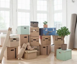 What to Bring First When Moving to a New House Guide