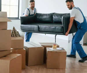 What Is Best Time To Move In Los Angeles? Find Out